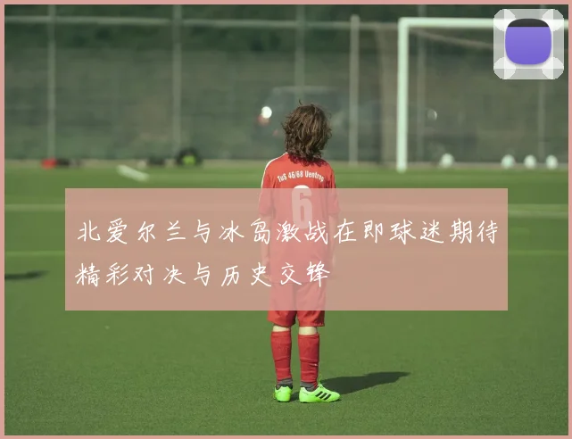 北爱尔兰与冰岛激战在即球迷期待精彩对决与历史交锋